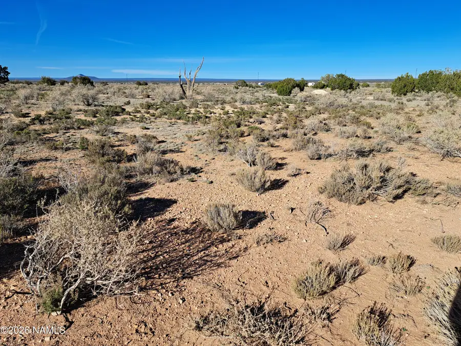 1087 E Vernon Road, Williams, AZ 86046 - #2