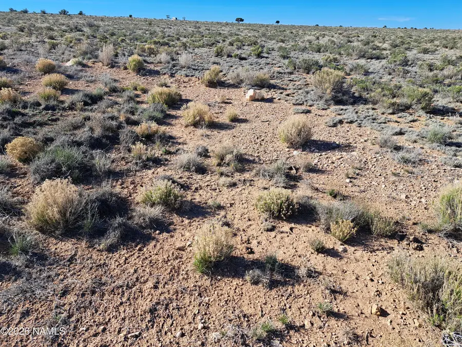1129 E Waddell Road, Williams, AZ 86046 - #3