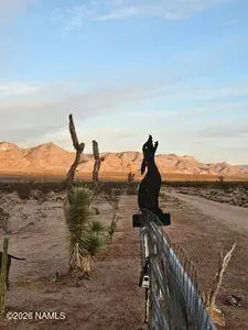 2595 W Lucy Lane, Kingman, AZ 86409 - #3