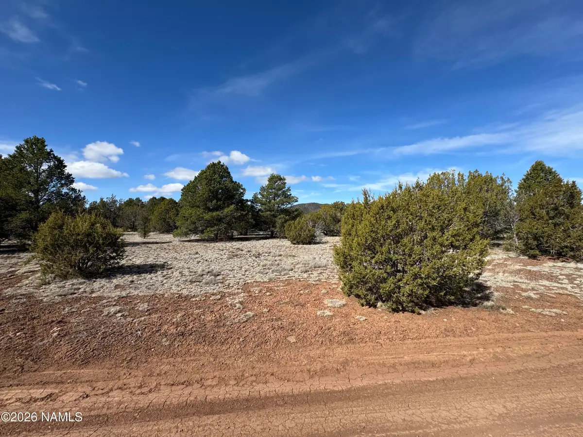 6598 N Isabella Street, Williams, AZ 86046 - #1