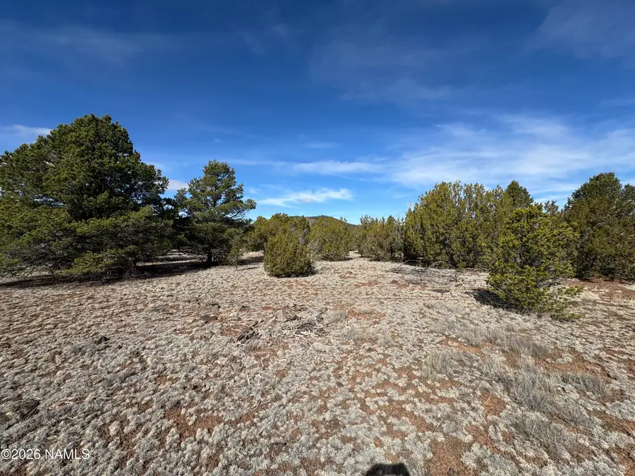 6598 N Isabella Street, Williams, AZ 86046 - #2