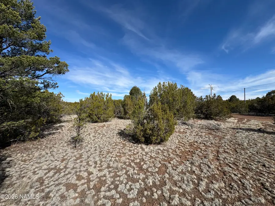 6598 N Isabella Street, Williams, AZ 86046 - #3