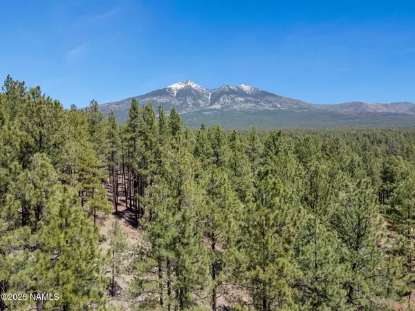 5216 Hidden Hollow Road, Flagstaff, AZ 86001