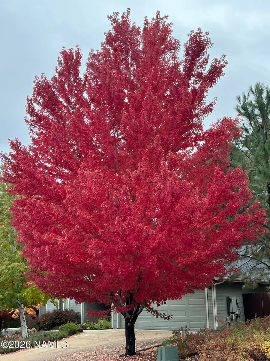 2079 W Fresh Aire Street, Flagstaff, AZ 86001 - #3