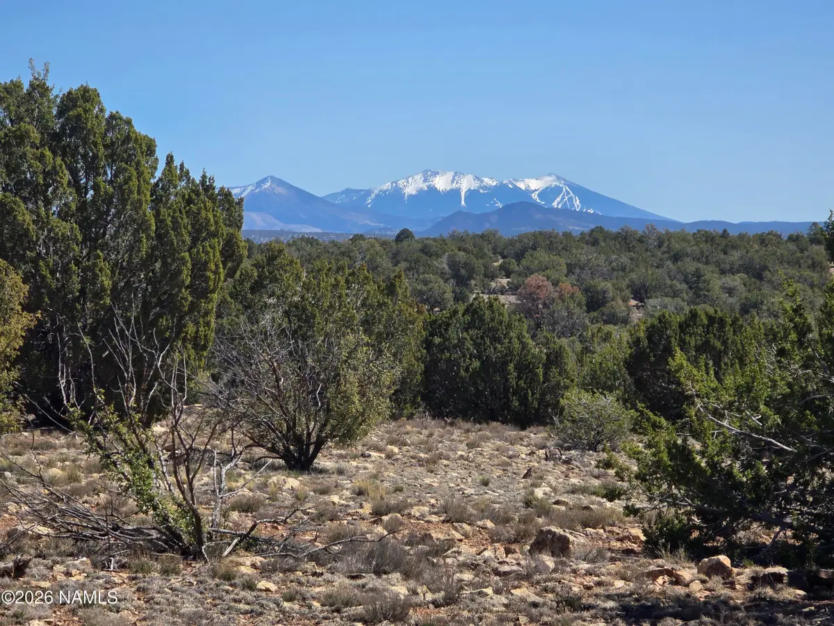 8299 W Clear Fork Loop, Williams, AZ 86046 - #1