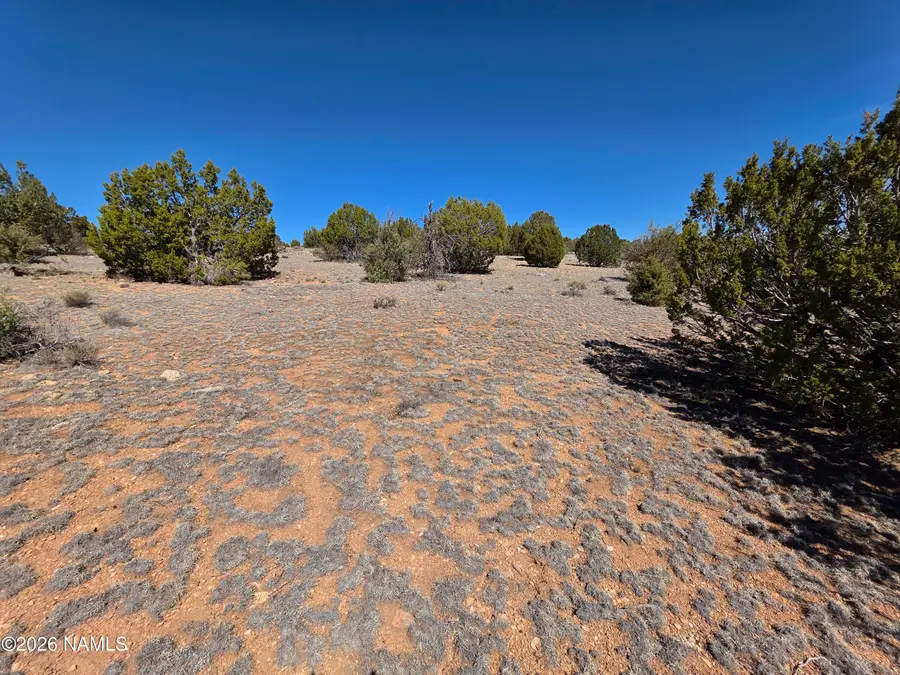 8299 W Clear Fork Loop, Williams, AZ 86046 - #2