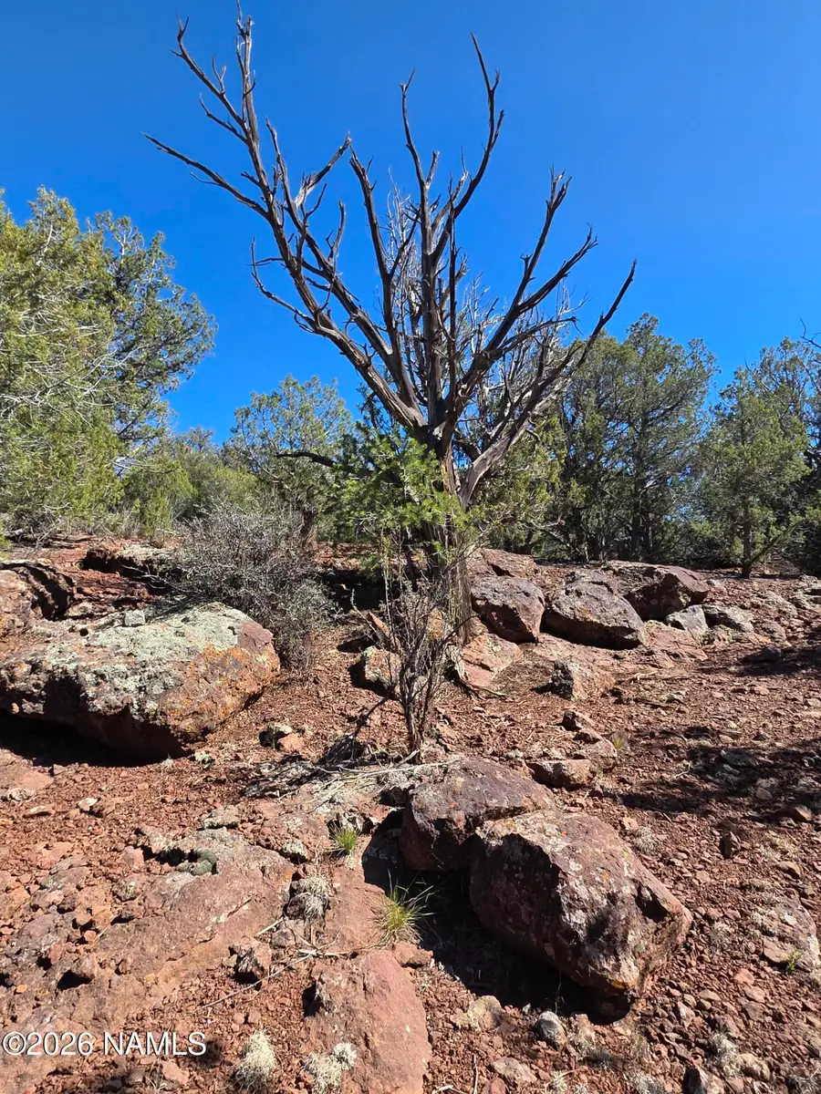 Parcel #205-33-005, Williams, AZ 86046 - #3