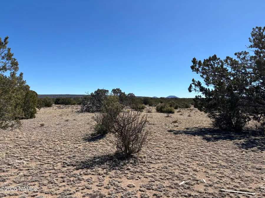 3156 Jackrabbit - 27.97 Ac Road, Williams, AZ 86046 - #3