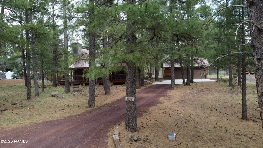 207 Blue Rdg Road, Mormon Lake, AZ 86038 - #2