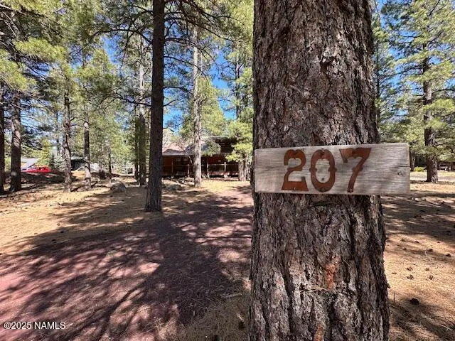 207 Blue Rdg Road, Mormon Lake, AZ 86038 - #3