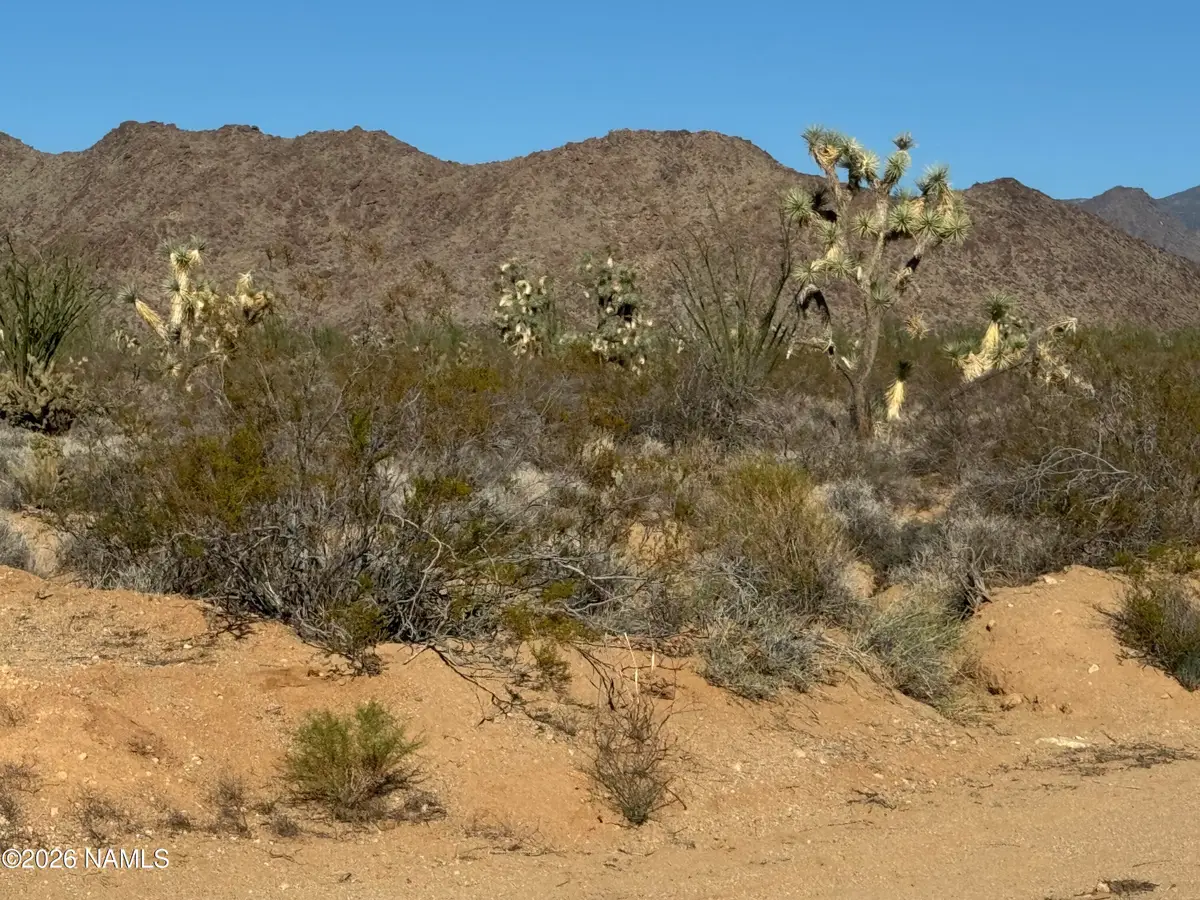 24203004 S Sundance Kid Rd, Yucca, AZ 86438 - #1