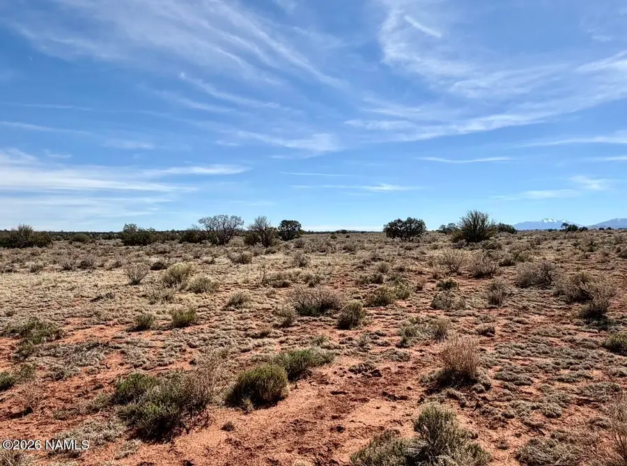 339 S San Luis Drive, Williams, AZ 86046 - #3