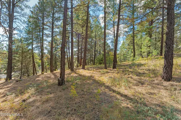 3407 S Litzler Drive, Flagstaff, AZ 86005