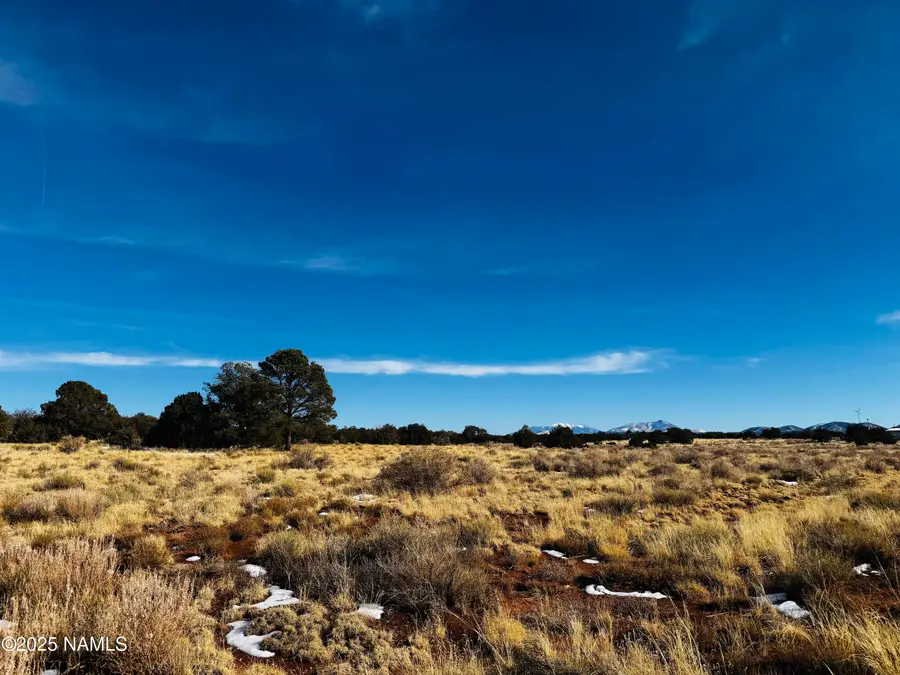 3584 E Wingfield Road, Williams, AZ 86046 - #2