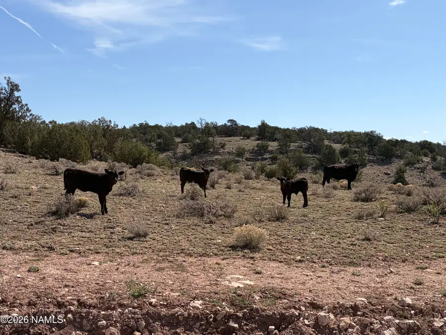 9457 W Bright Sky Trail, Williams, AZ 86046 - #3