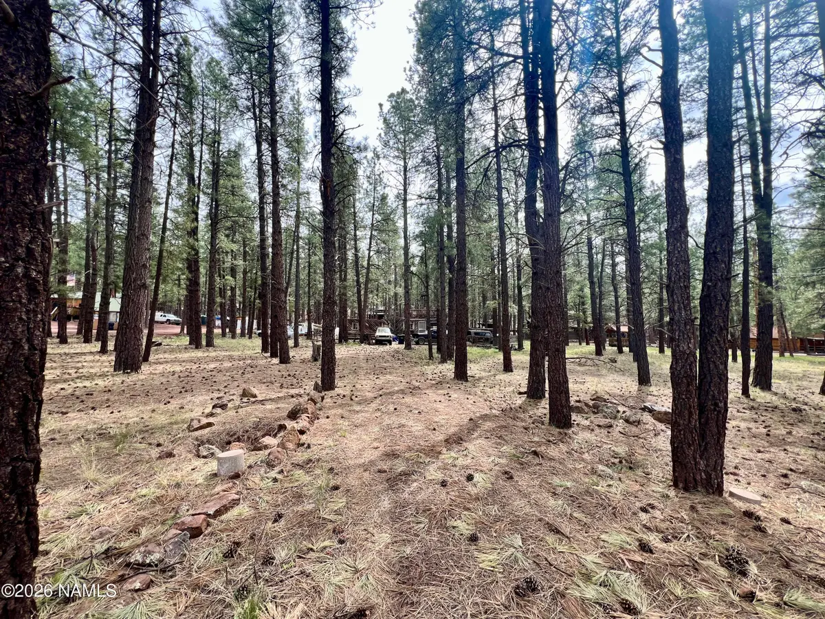 7350 E Jolly Rogue Lane, Williams, AZ 86046 - #1