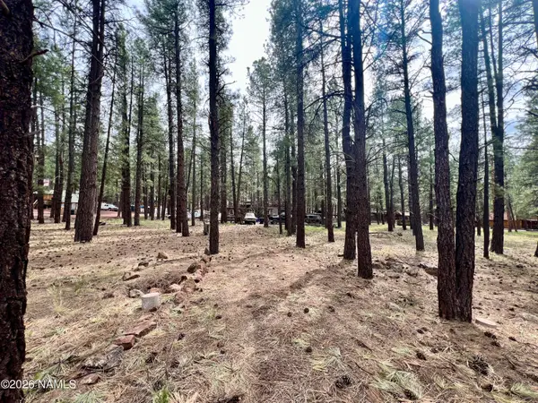 7350 E Jolly Rogue Lane, Williams, AZ 86046