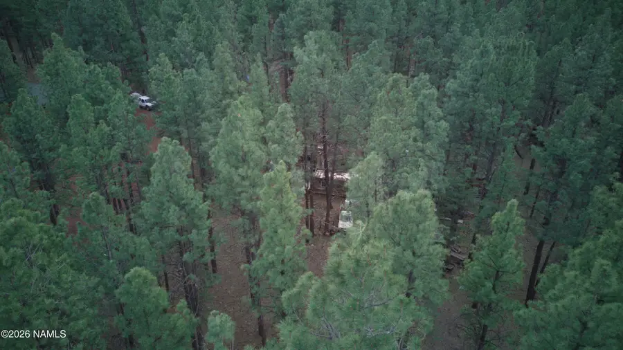 7350 E Jolly Rogue Lane, Williams, AZ 86046 - #2