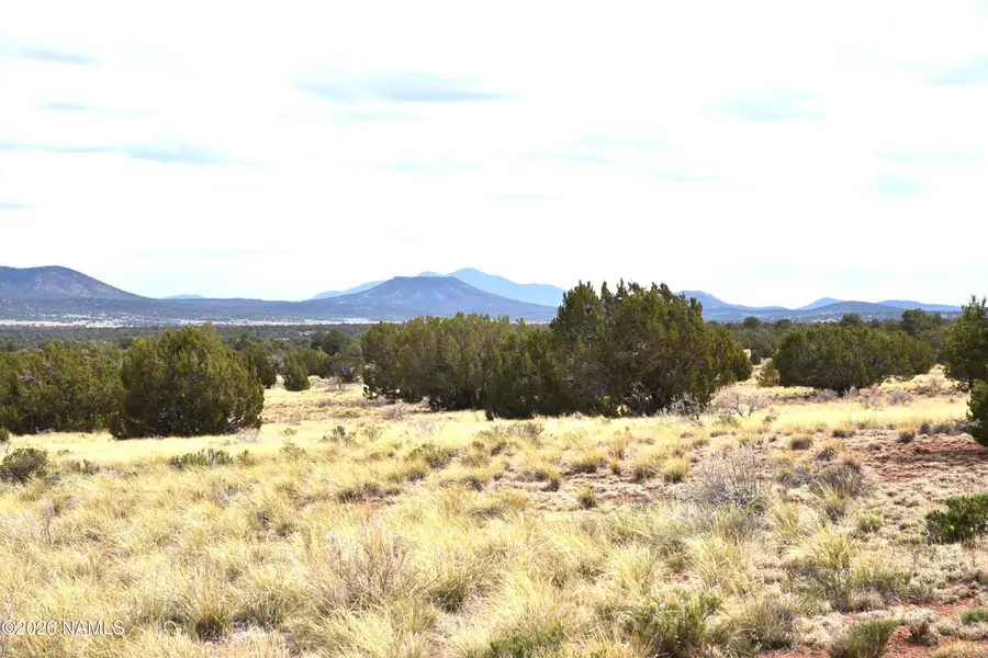 4948 E Larkspur Road, Williams, AZ 86046 - #2