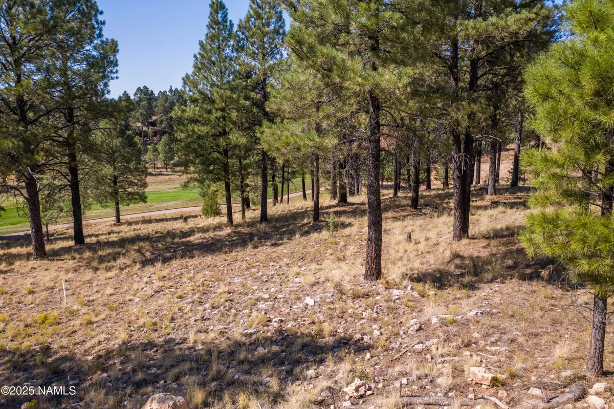 2900 S Solitaires Canyon Drive, Flagstaff, AZ 86005 - #1