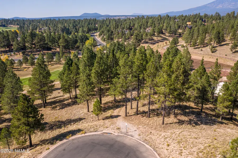 2900 S Solitaires Canyon Drive, Flagstaff, AZ 86005 - #3