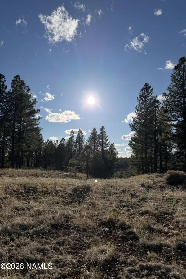 4870 E Gandalf Lane, Flagstaff, AZ 86004