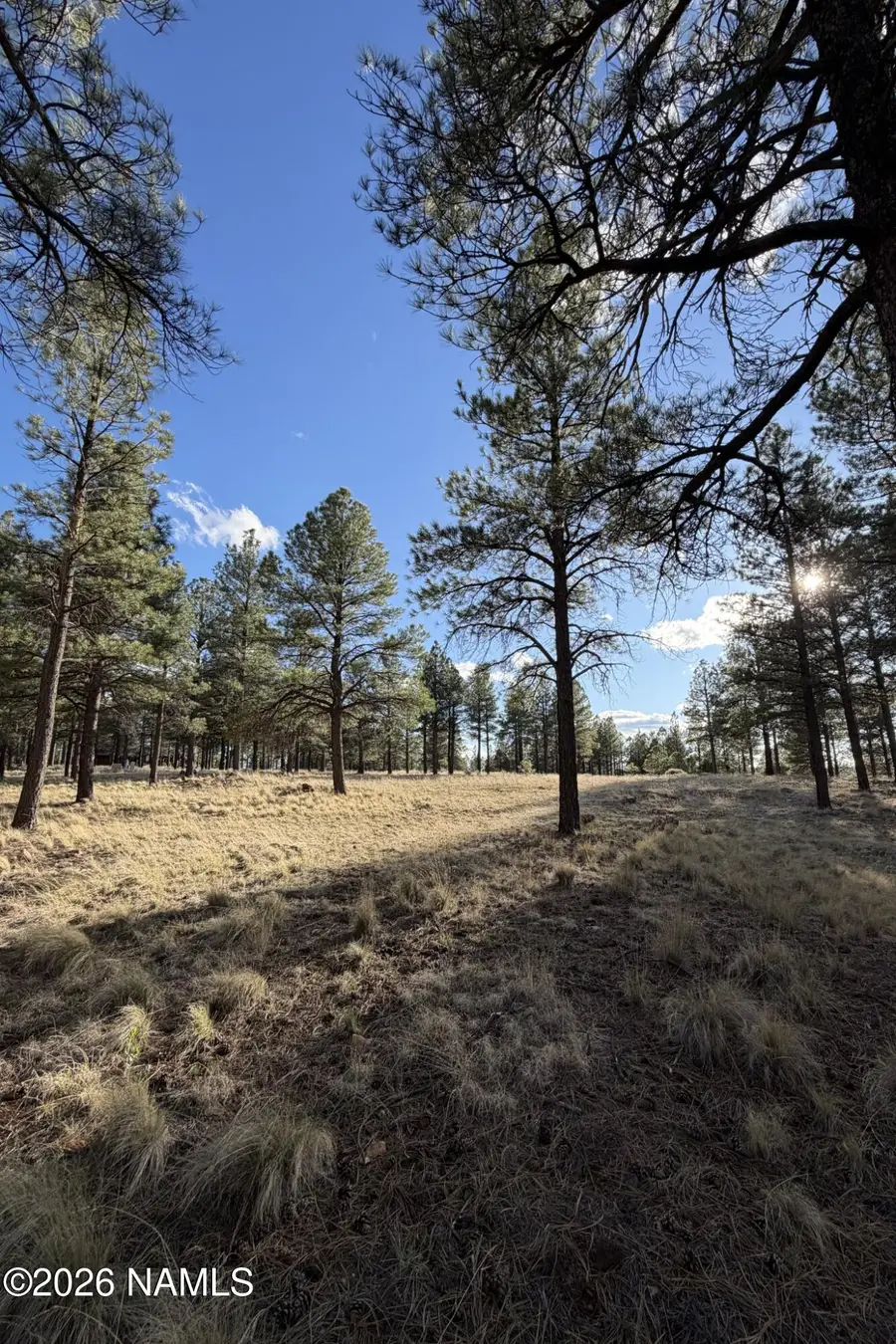 4870 E Gandalf Lane, Flagstaff, AZ 86004 - #2