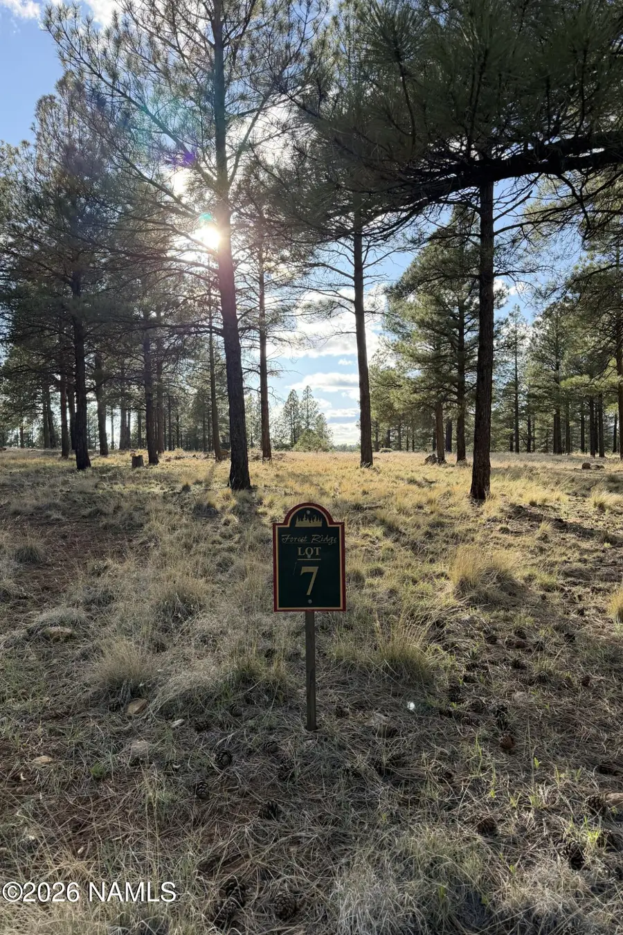 4870 E Gandalf Lane, Flagstaff, AZ 86004 - #3