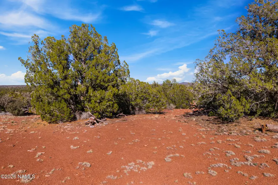 8913 Water Tank Circle, Williams, AZ 86046 - #2