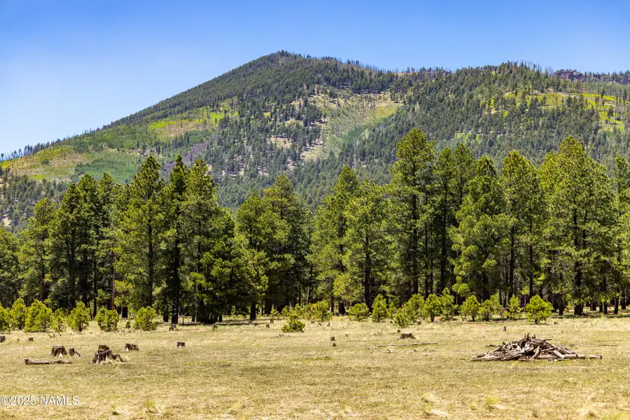 00 Crowley Trail, Flagstaff, AZ 86001 - #3