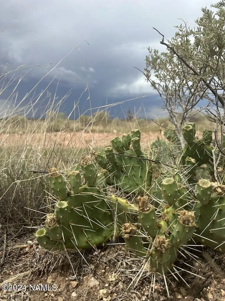 1140 E Valle Road, Williams, AZ 86046 - #3