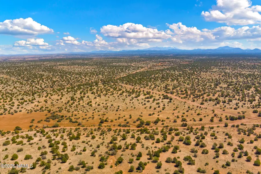 10529 W Red Bluff Road, Williams, AZ 86046 - #2