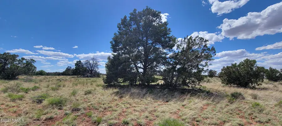 2152 S Hollyhock Lane, Williams, AZ 86046 - #2