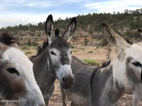 10747 Espee Road, Williams, AZ 86046