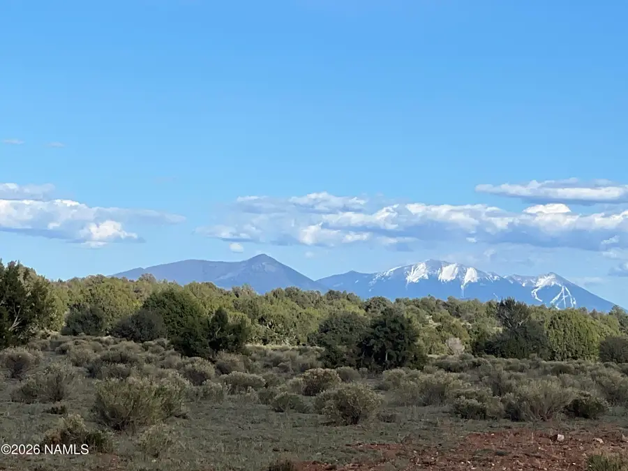 10747 Espee Road, Williams, AZ 86046 - #2