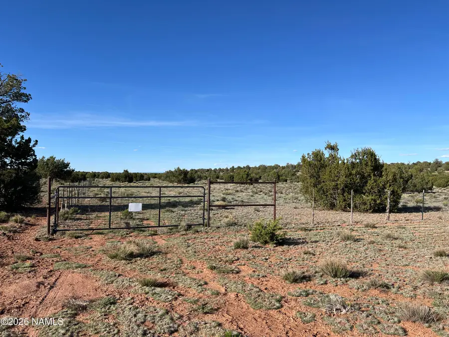 10747 Espee Road, Williams, AZ 86046 - #3