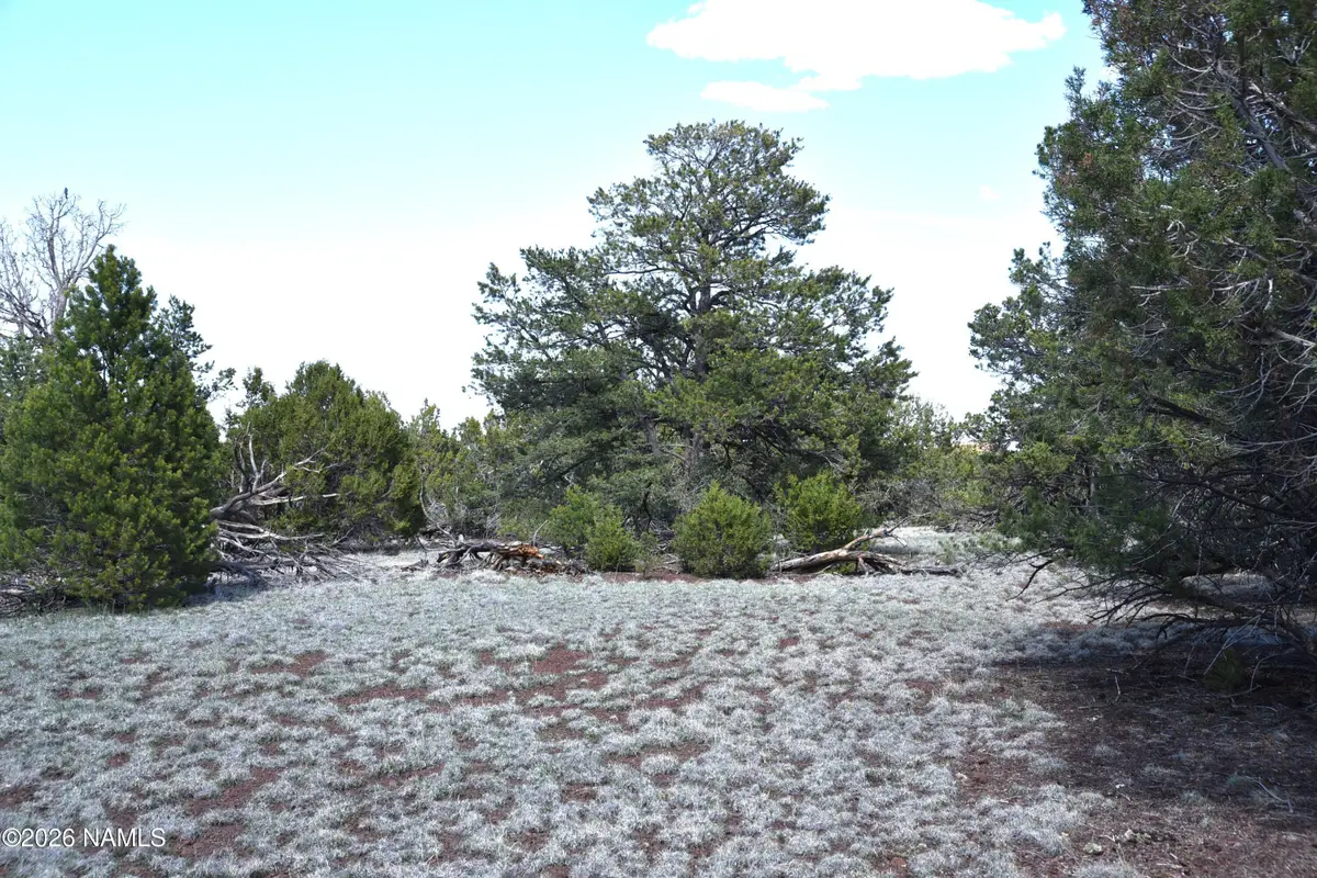 20203017 Griffin Road, Williams, AZ 86046 - #1