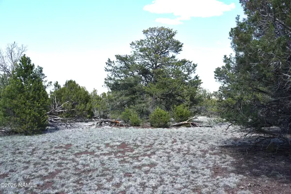 20203017 Griffin Road, Williams, AZ 86046