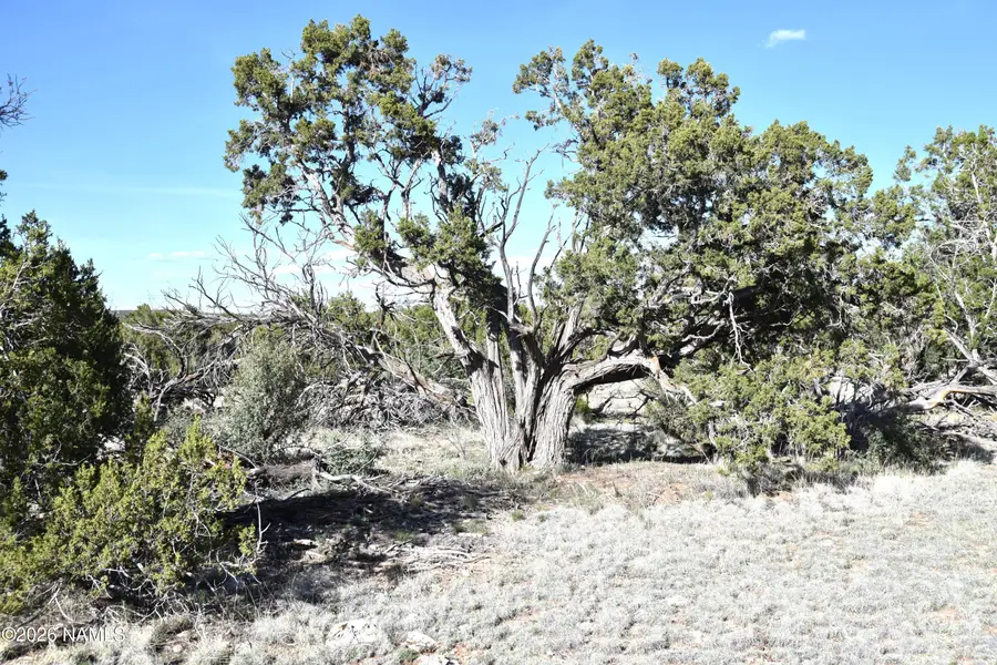 12498 N Chino Road, Williams, AZ 86046 - #2
