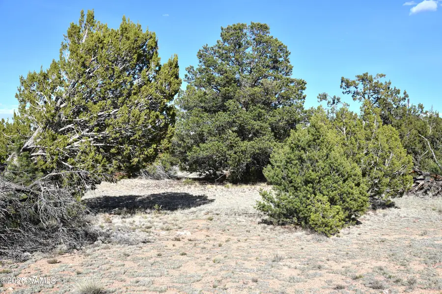 12498 N Chino Road, Williams, AZ 86046 - #3
