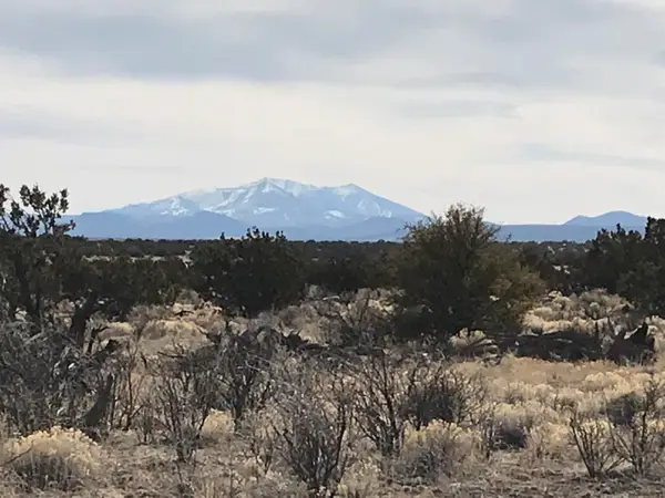 5597 S Cattle Tank Road, Williams, AZ 86046