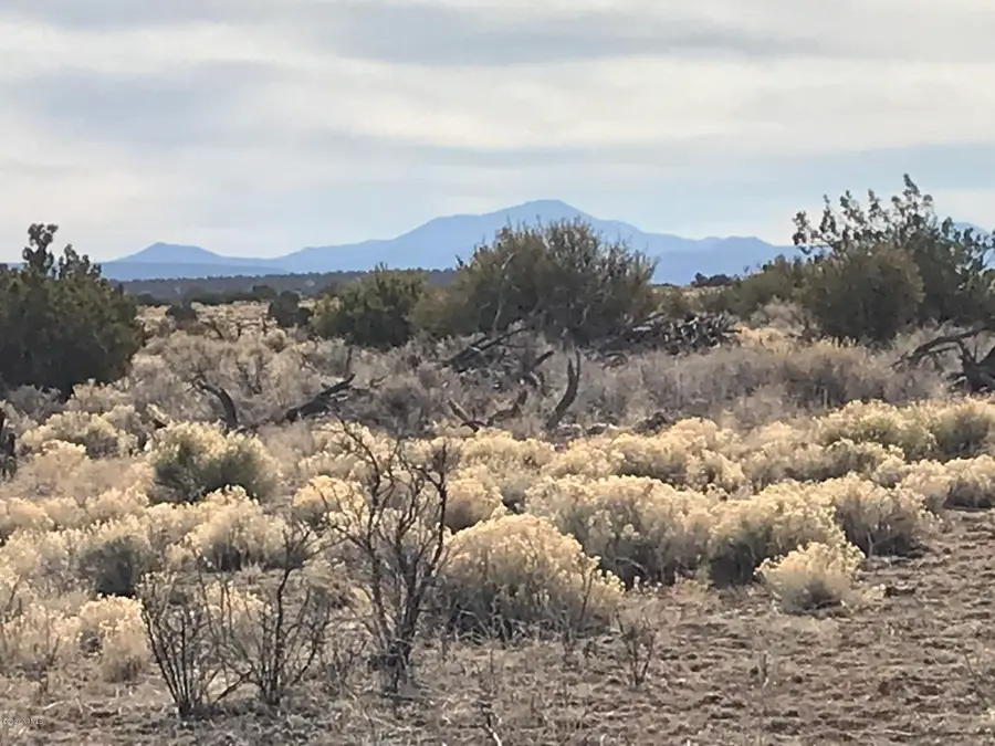 5597 S Cattle Tank Road, Williams, AZ 86046 - #2