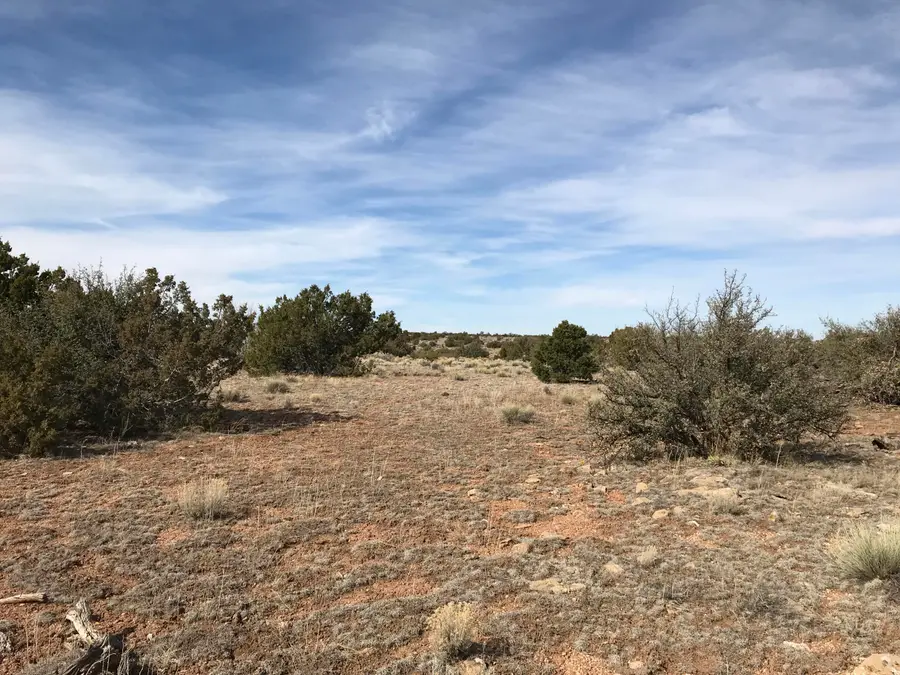 5597 S Cattle Tank Road, Williams, AZ 86046 - #3