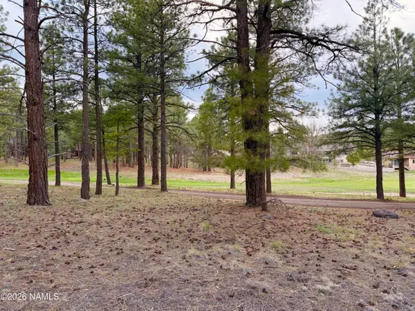 1128 S Torrey Pines Drive, Williams, AZ 86046