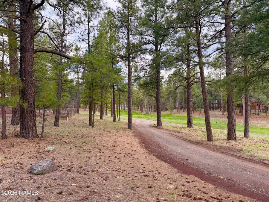 1128 S Torrey Pines Drive, Williams, AZ 86046 - #2