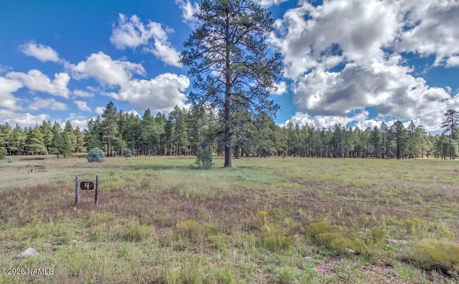 307 E Foxboro Road, Munds Park, AZ 86017 - #2