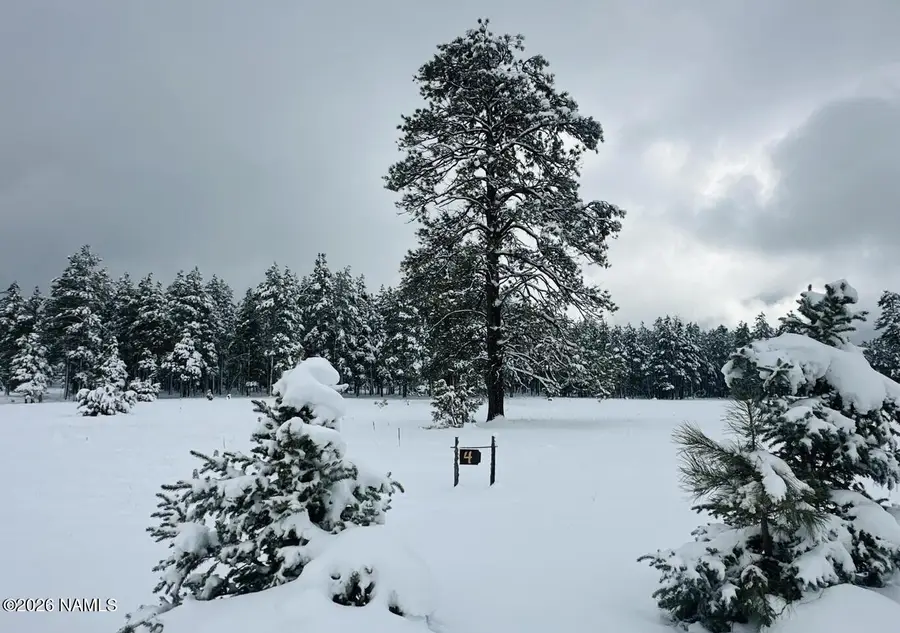 307 E Foxboro Road, Munds Park, AZ 86017 - #3