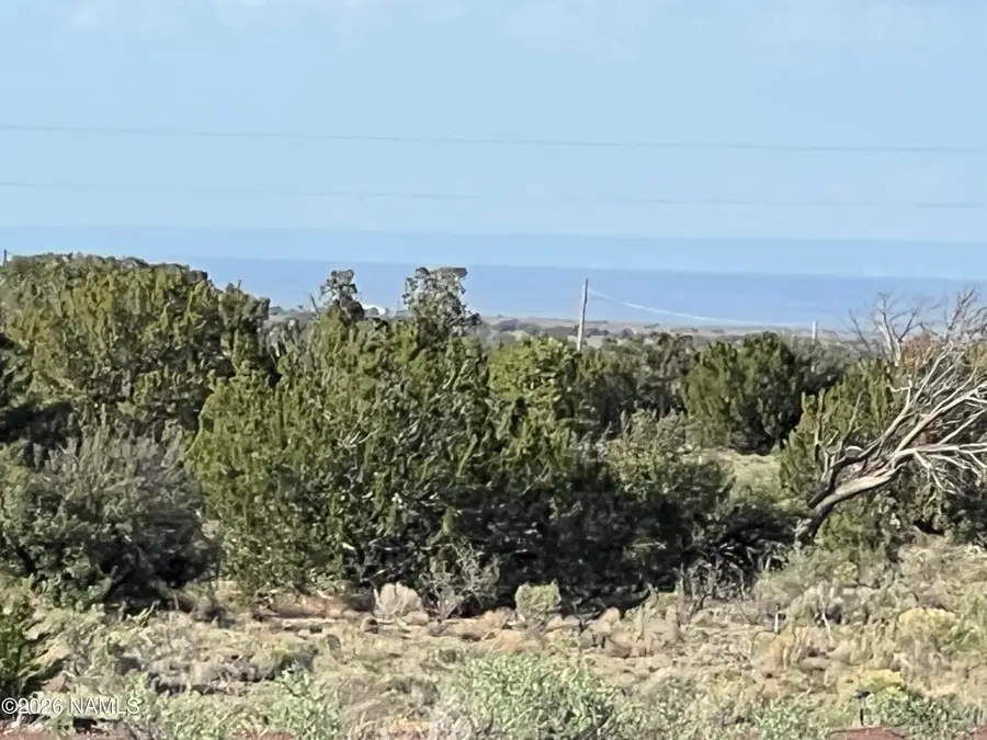 4800 Whitetail Loop, Williams, AZ 86046 - #2