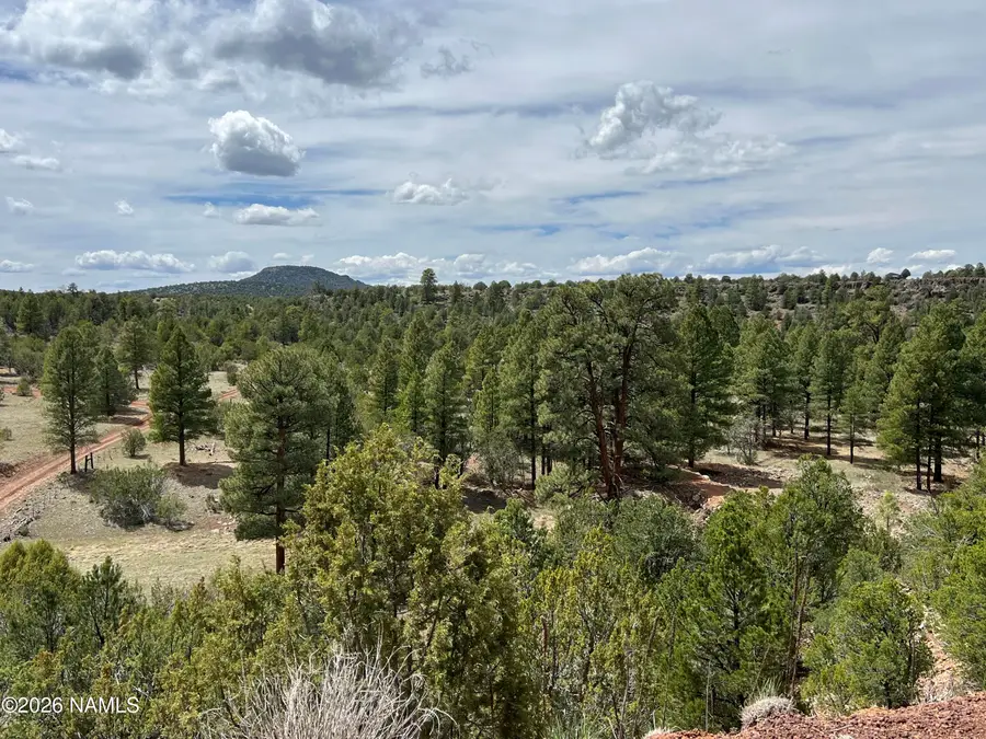 6090 N Cliff Rose, Williams, AZ 86046 - #2