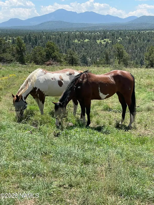 6077 N Cliff Rose, Williams, AZ 86046